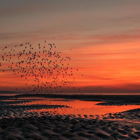 Hoekje Aan Zee Katwijk aan Zee Εξωτερικό φωτογραφία