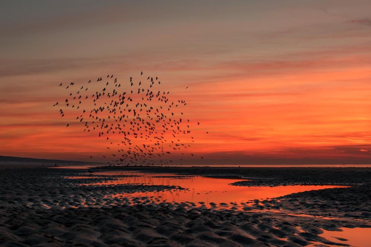 Hoekje Aan Zee Katwijk aan Zee Εξωτερικό φωτογραφία