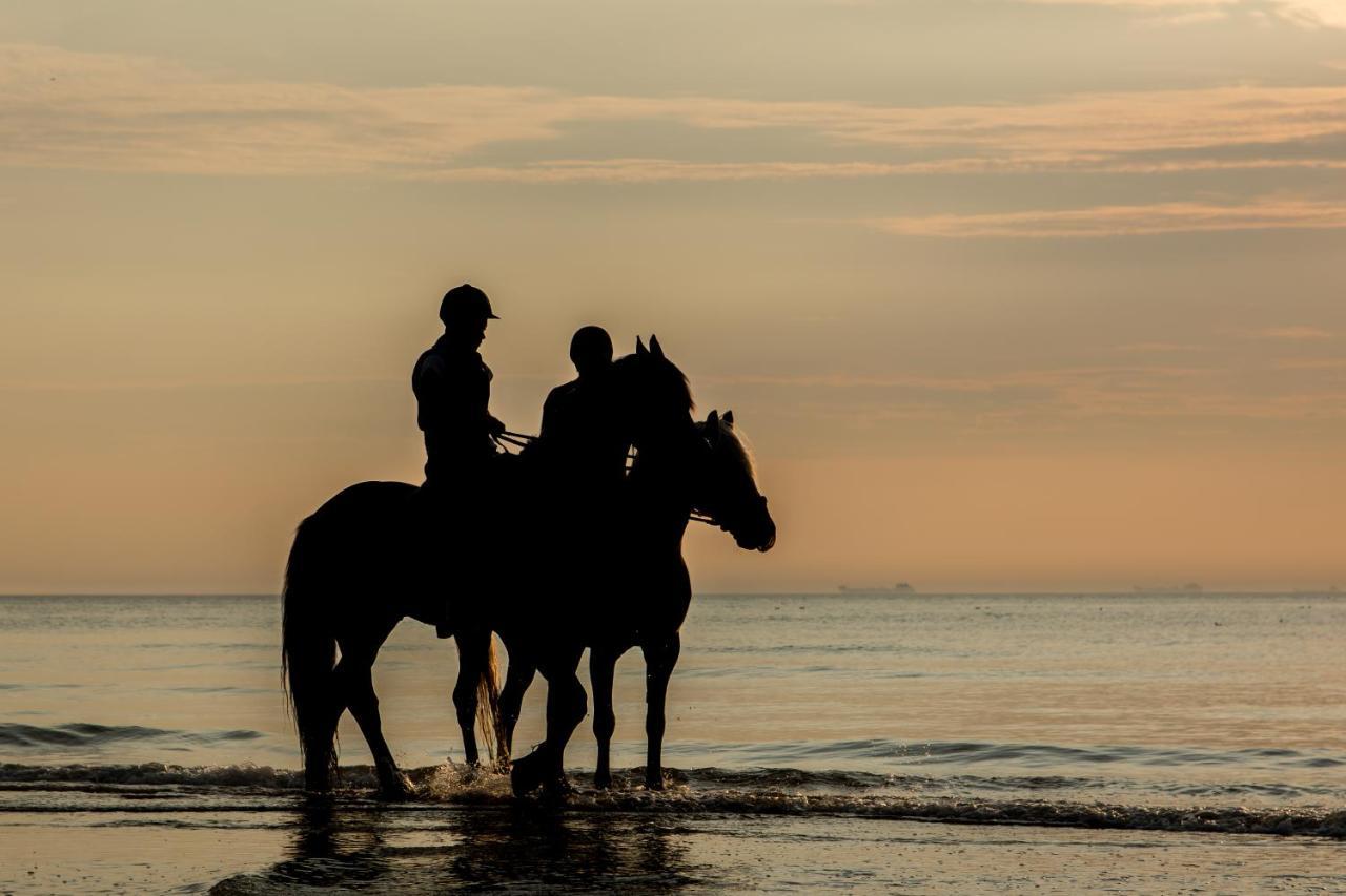 Hoekje Aan Zee Katwijk aan Zee Εξωτερικό φωτογραφία